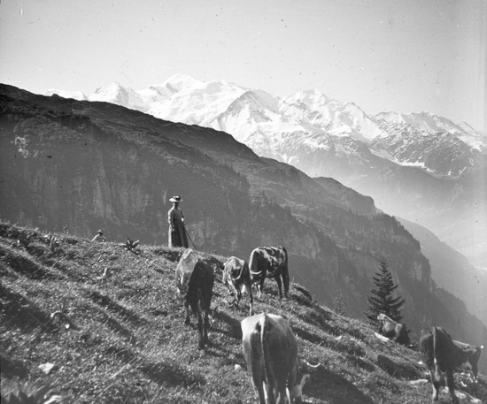 Ascension du Buet. Col d’Anterne. Mont-Blanc. Photographie de Lucien Poulat. Pv 8,5x10 Positif de projection 1914 K.20