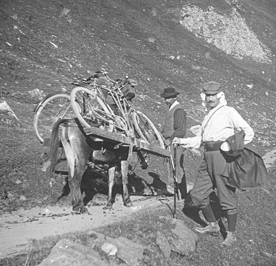En montant au col de l'Iseran. Mulet portant des bicyclettes. Photographie de Fagot. Pv 8,5x10 Positif de projection 1914 M.21